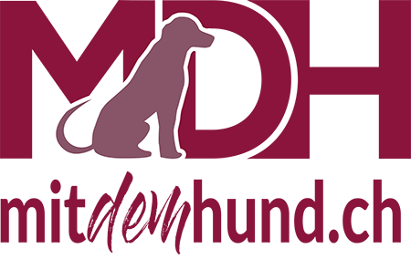 Mit dem Hund – Hundeschule Melanie Strasser