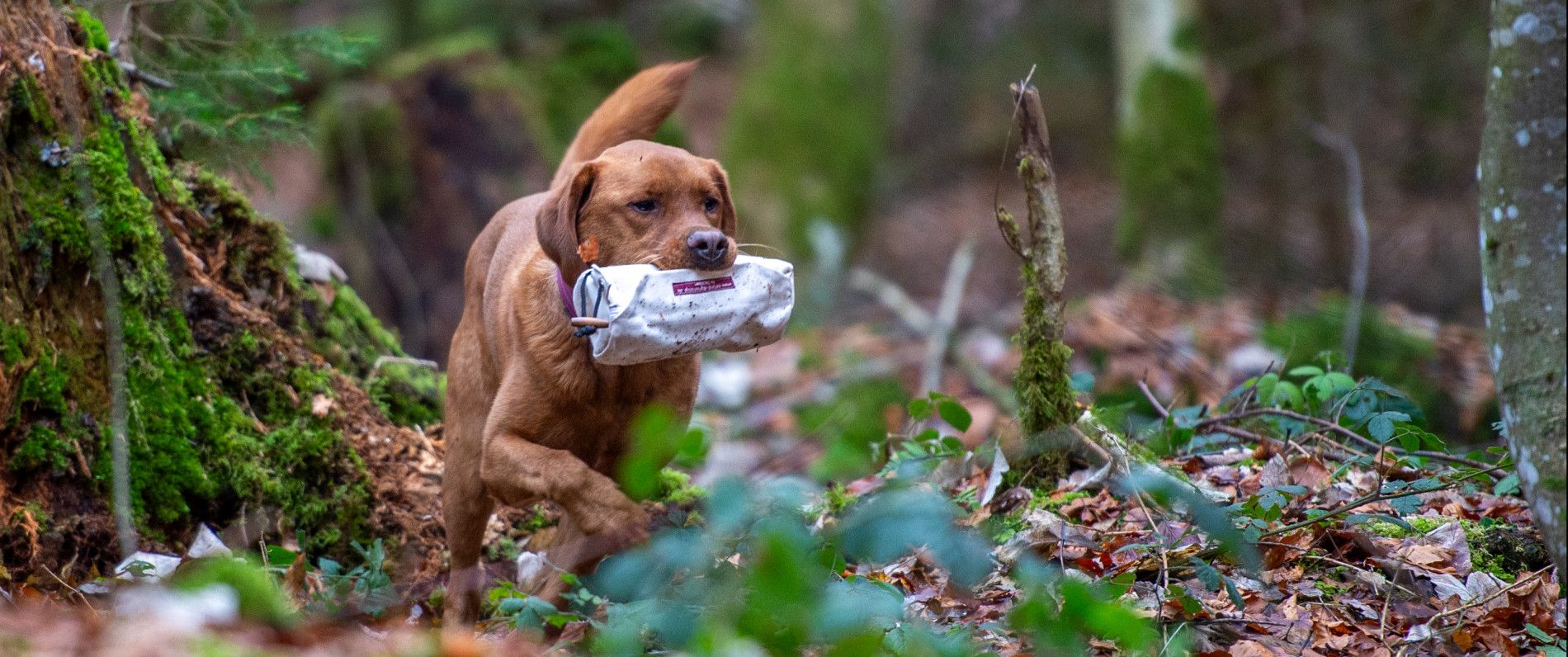 Erziehungsphilosophie