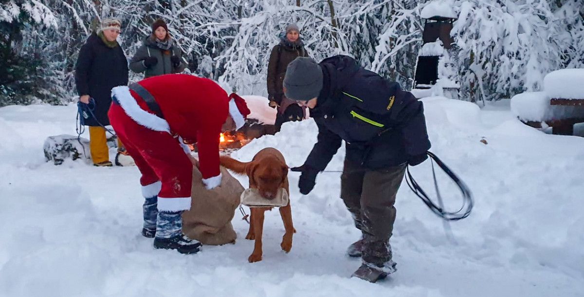 Samichlous du guet Maa