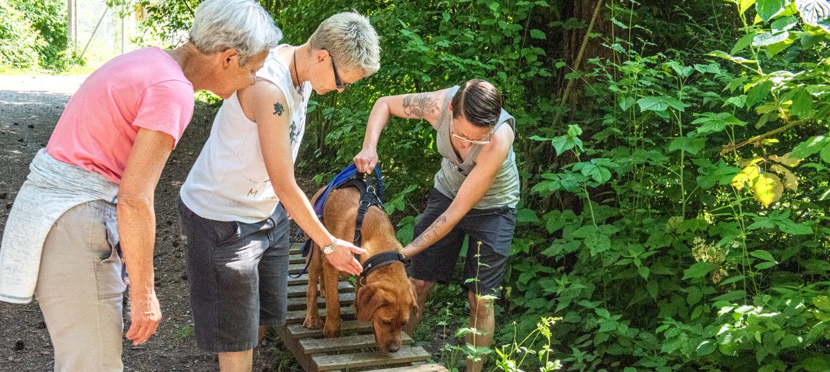 ALLGEMEINE GESCHÄFTSBEDINGUNGEN